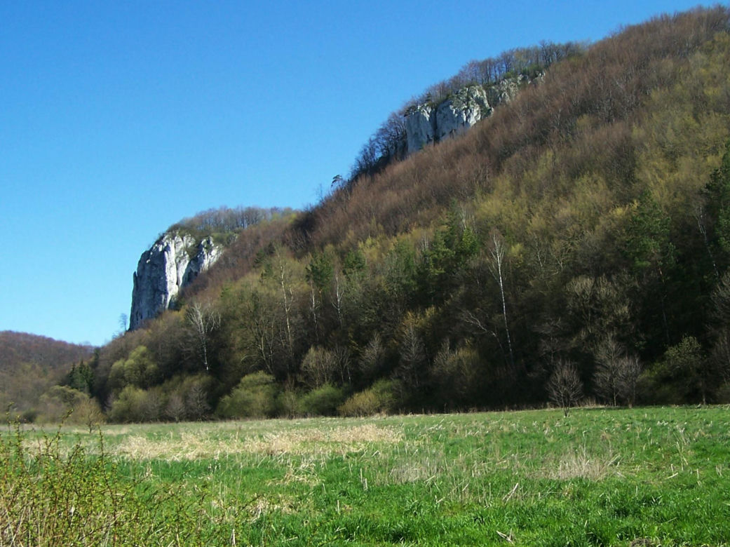 Dolina Będkowska