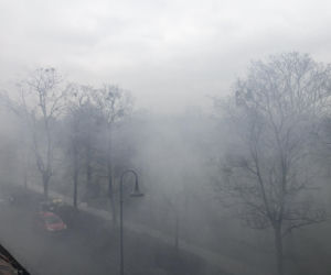 Pożar na wrocławskim Sępolnie we Wrocławiu 