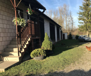 Kwaszyn. Zmielił ciotkę rozrzutnikime do trawy