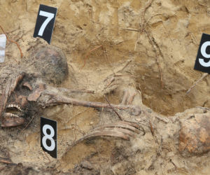 Historyczne znalezisko w warszawskim lesie. Doły śmierci na Białołęce. Wśród ofiar kobieta z długim warkoczem 