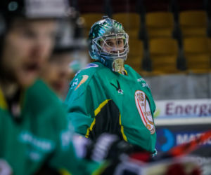 KH Energa Toruń -  JKH GKS Jastrzębie, zdjęcia z Tor-Toru