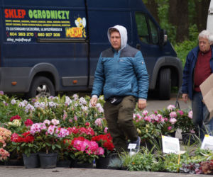 Wiosenny Kiermasz Ogrodniczy w Bydgoszczy [ZDJĘCIA]