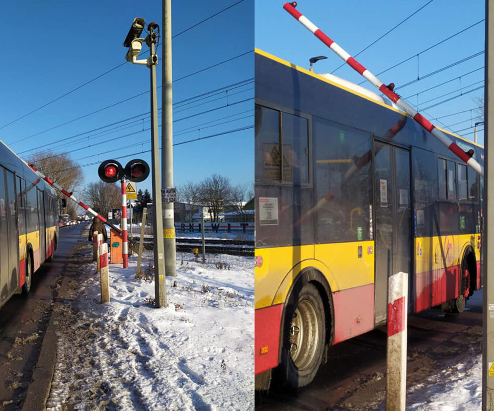 autobus