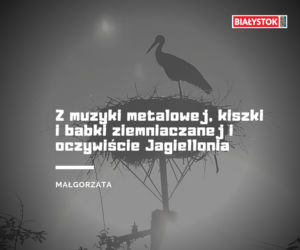 Z czego słynie woj. podlaskie? Odpowiedzi Internautów