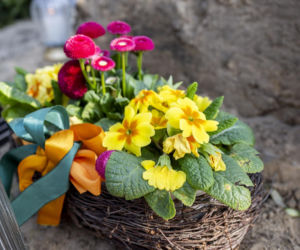 Tak wygląda grób Bożeny Dykiel