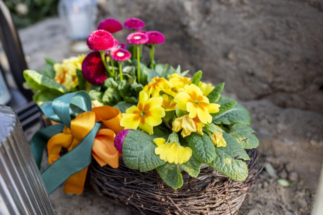 Tak wygląda grób Bożeny Dykiel