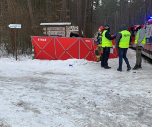 Śmiertelny wypadek w Lidzbarku. Bus uderzył w drzewo. Nie żyje młoda kobieta