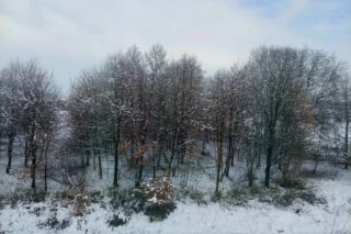 Atak zimy w Kujawsko-Pomorskiem. 325 zdarzeń w regionie, problemy z komunikacją i przerwy w dostawach prądu