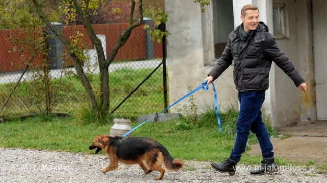 M jak miłość odc. 1204. Paweł (Rafał Mroczek), pies Kminek (Lizak)