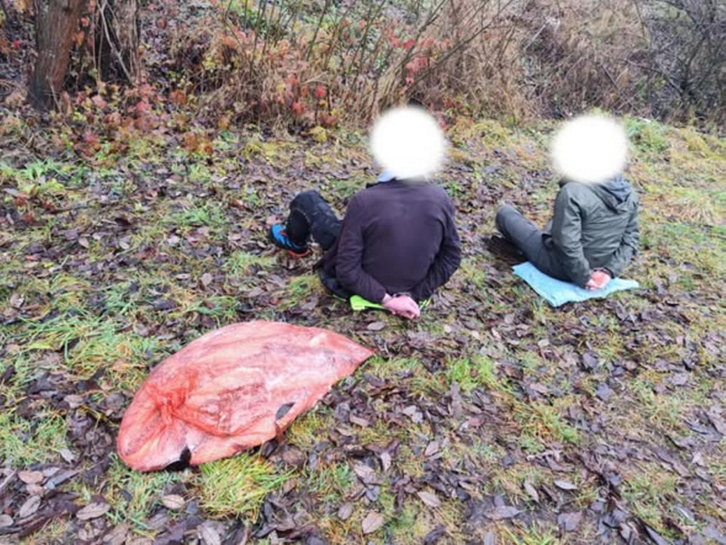 Afera nad jeziorem Bikcze. Wędkarze zgłosili się do pomocy, potem zabrali ryby
