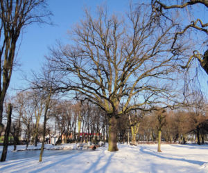 To jedno z najmniejszych miast w województwie łódzkim. Mieszka w nim mniej osób niż na wsiach