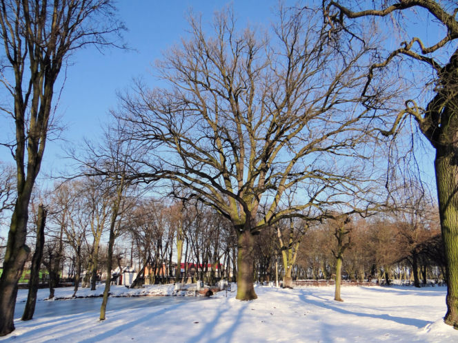 To jedno z najmniejszych miast w województwie łódzkim. Mieszka w nim mniej osób niż na wsiach