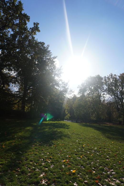 Park Wilsona jesienią