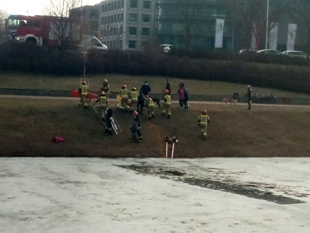Gwiaździsta, pod kobietą załamał się lód. Biegła ratować psa