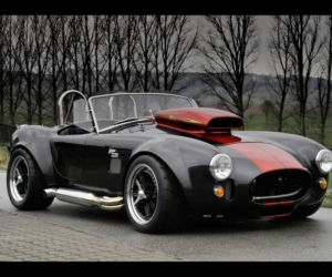 Weineck Cobra