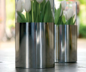 Tulipany