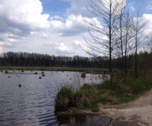 Miejsce na spacer blisko Białegostoku