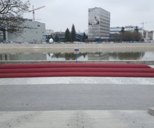 Pufa miejska nad Odrą
