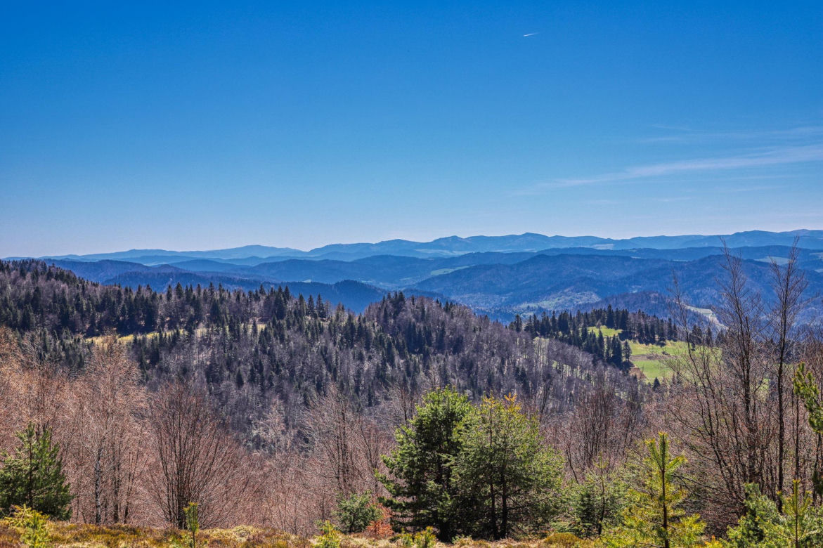 Beskid Sądecki