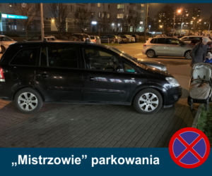 Mistrzowie Parkowania: Zobacz najbardziej kuriozalne pomysły kierowców