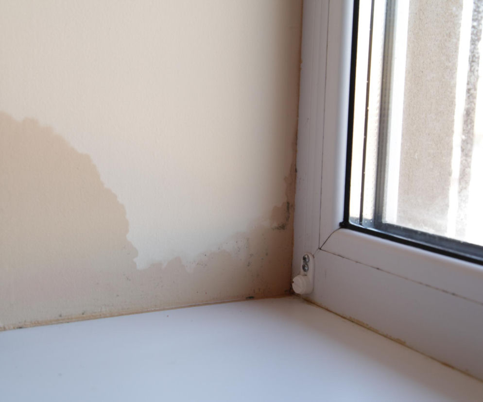 Dlaczego ściana się poci? Co zrobić, gdy ściana jest mokra? Oto przyczyna 