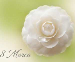 Kartka na Dzień Kobiet