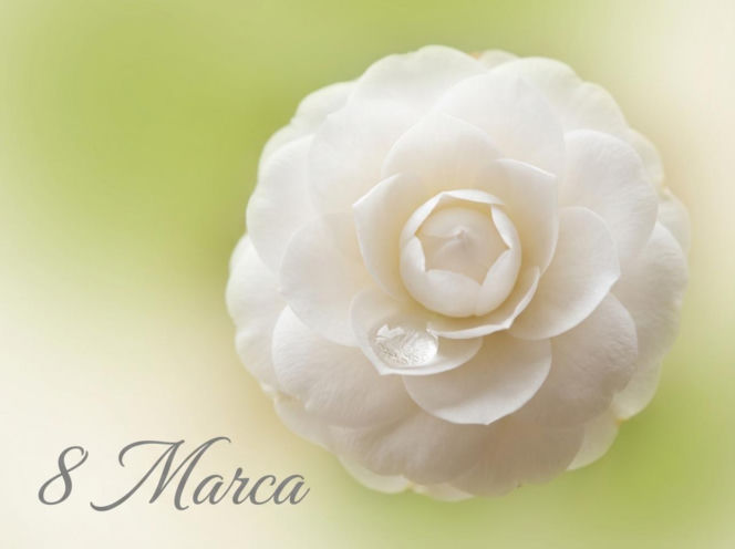 Kartka na Dzień Kobiet