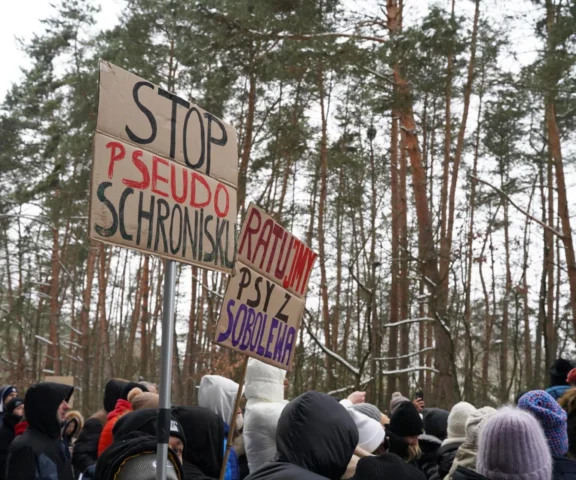 Kontrolerzy NIK wejdą do schroniska w Sobolewie