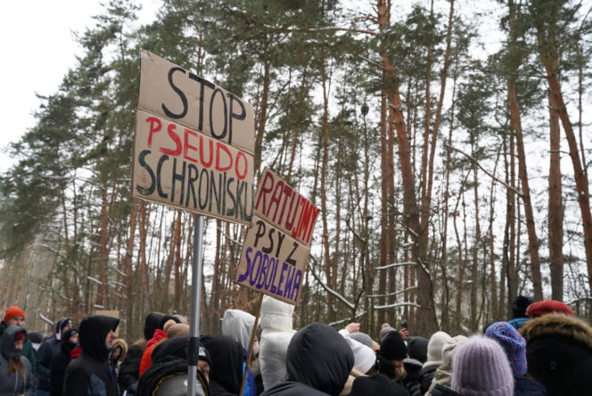 Schronisko dla psów w Sobolewie zamknięte. Jeszcze w sobotę, 24 stycznia, protestowali pod nim mieszkańcy [ZDJĘCIA].