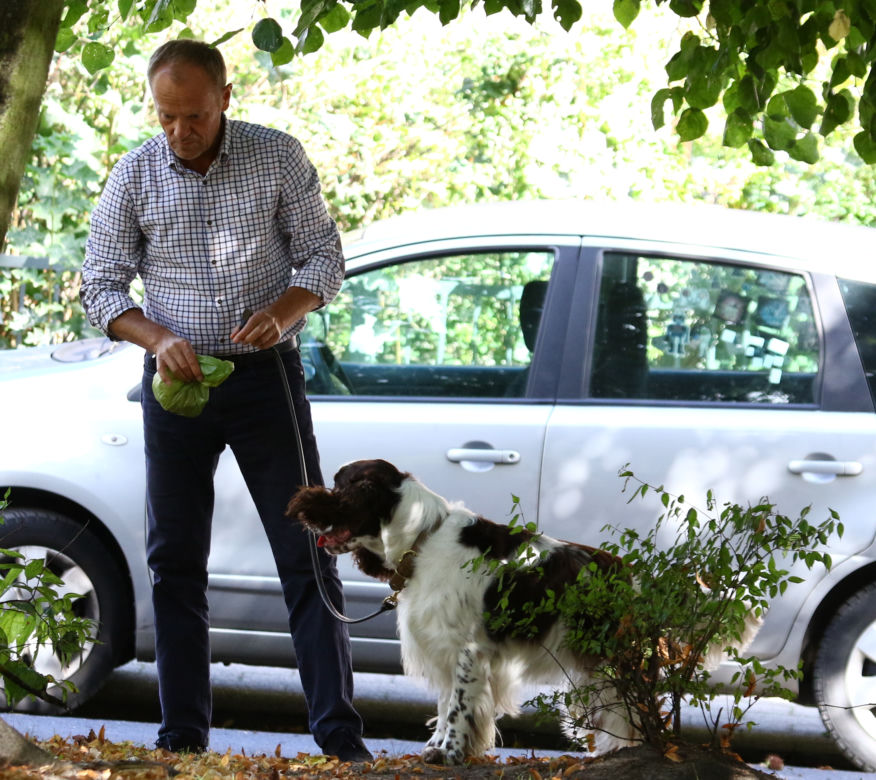Tusk sprząta po psie