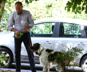 Tusk sprząta po psie