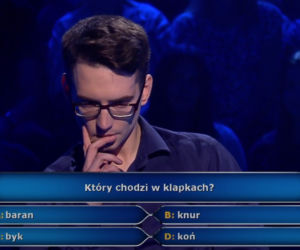 Milionerzy