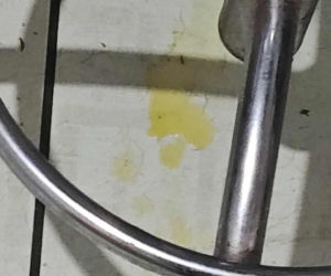 Interwencja Radzionków