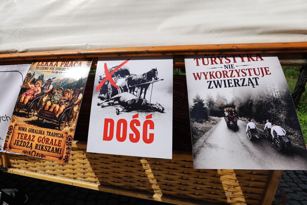 Protest przeciw przewozom konnym do Morskiego Oka