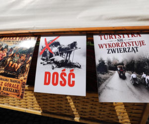 Protest przeciw przewozom konnym do Morskiego Oka