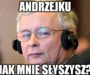 Wybory parlamentarne 2015