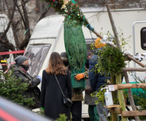 Julia Wieniawa i Nikodem Rozbicki kupili choinkę