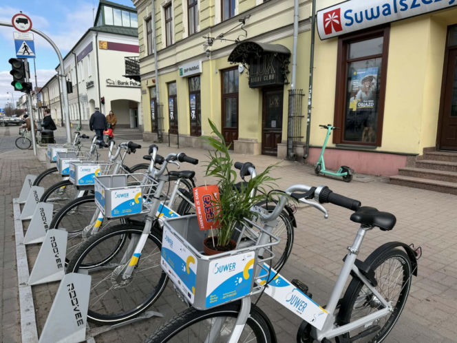 Darmowe palmy na ulicach Suwałk! Niezwykła akcja Radia ESKA