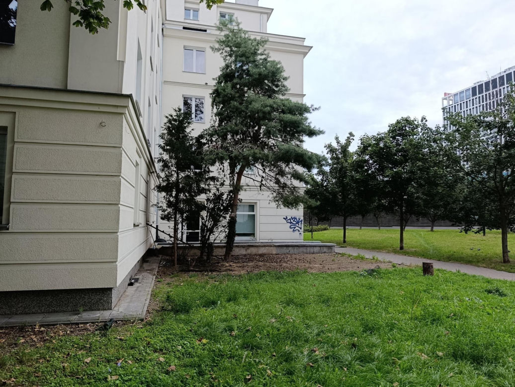  Żyją w symbiozie z gołębiami i kotami. Agresywne gryzonie opanowały blok w Warszawie