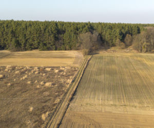 Pojechaliśmy na miejsce śmierci Magdaleny Majtyki. Nawet w dzień przyprawia o dreszcze