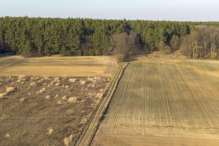 Pojechaliśmy na miejsce śmierci Magdaleny Majtyki. Nawet w dzień przyprawia o dreszcze