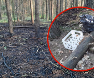 O włos od tragedii. Zakrapiane ognisko skończyło się pożarem