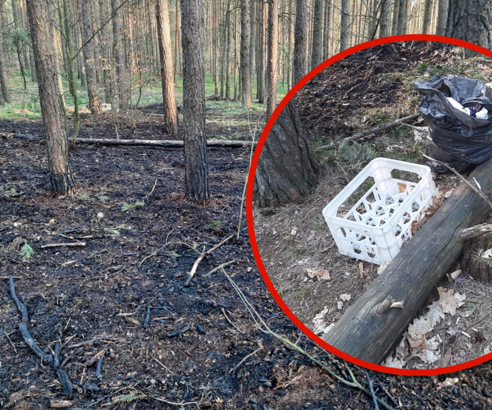 O włos od tragedii. Zakrapiane ognisko skończyło się pożarem