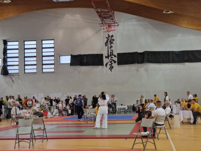V Kyokushin Cup