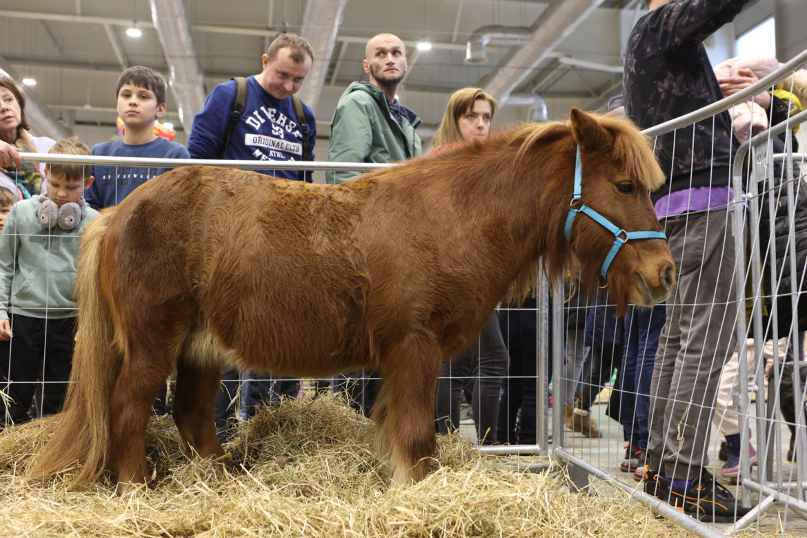 ZooPark 2023 w Lublinie przyciągnął tłumy!