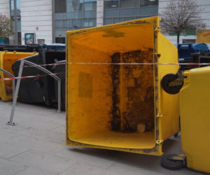 „Cały Grochów w szczurach!”. Mieszkańcy prawobrzeżnej Warszawy ponownie toną we własnych śmieciach