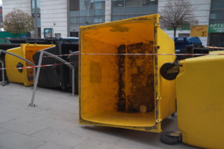 „Cały Grochów w szczurach!”. Mieszkańcy prawobrzeżnej Warszawy ponownie toną we własnych śmieciach