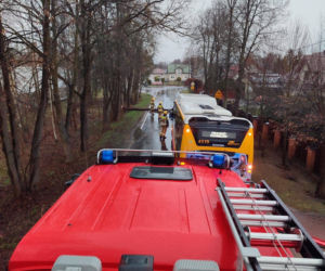 Interwencje Strażaków przy likwidacji szkód spowodowanych przez gwałtowny wiatr i burze