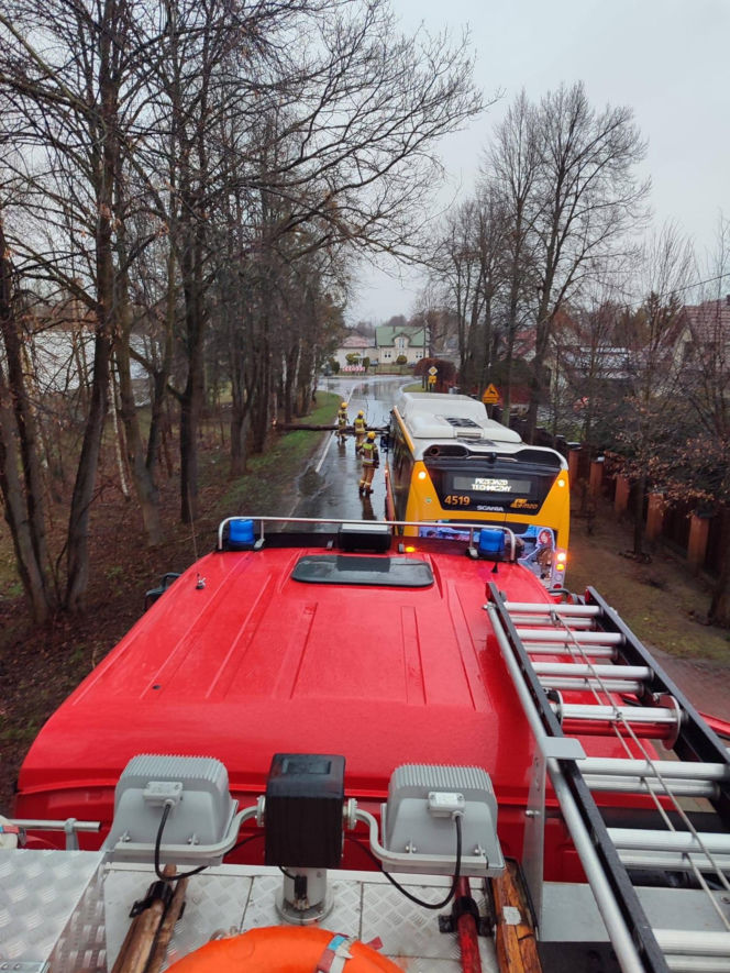 Interwencje Strażaków przy likwidacji szkód spowodowanych przez gwałtowny wiatr i burze