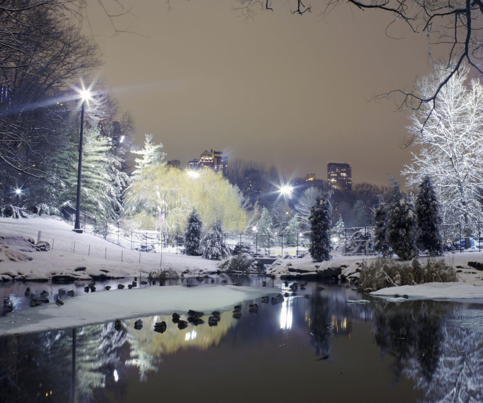 zima, nyc, śnieg,
